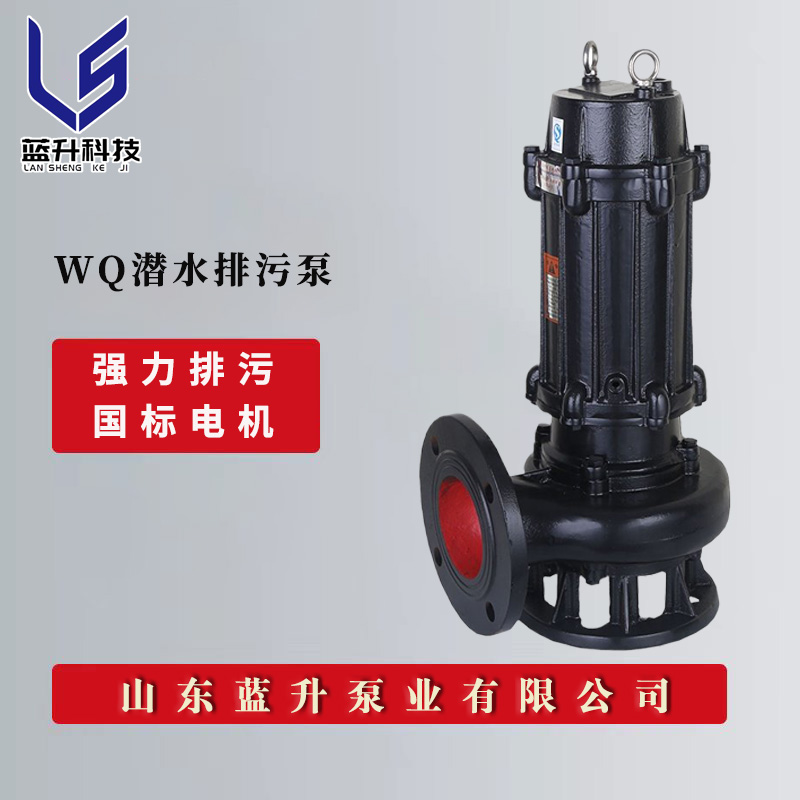 陕西西安污水处理厂使用蓝升潜污泵，提高污水处理效率