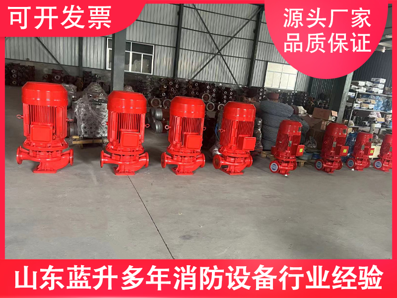 山东消防泵 济南喷淋泵在现代消防与工业领域的重要应用及解析-山东蓝升